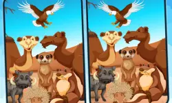 Spot 5 Differences Deserts