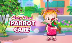 Baby Hazel Parrot Care