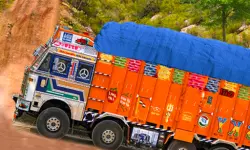 Off Road Truck Cargo Delivery