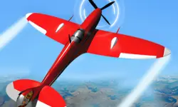 Real Flight Simulator