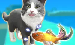 Pet Trainer Duel background