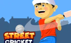 Street Cricket background