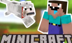 Minicraft: Steve And Wolf Adventure background