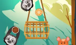 Slings to the Basket