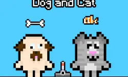 Dog and Cat