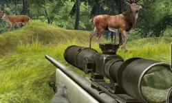 Sniper Hunting Deadly Animal