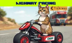Chipi Chipi Chapa Chapa Cat Highway Racing
