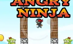 Angry Ninja