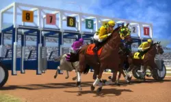 Bet Horse Racing