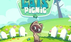 Cats Picnic