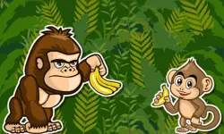 Monki  amp;amp; Goru