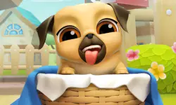 My Cute Puppy Grooming 3D