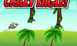 CRAZY EAGLE