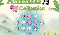 Animals Collection