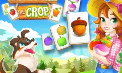Happy Farm : The crop