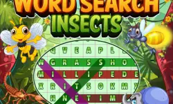 Word Search Insects