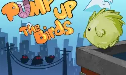 Pump up the birds