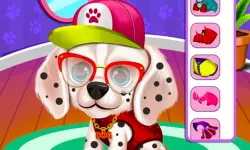 My Puppy Daycare Salon