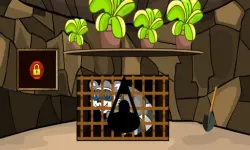 Rescue The Raccoon background