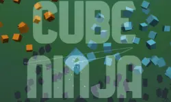Cube Ninja