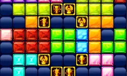 1010 Golden Trophies