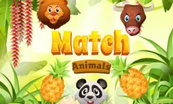Match Animals