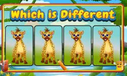 Which Is Different Animal