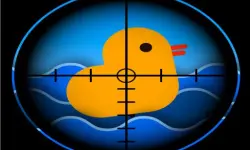 Quick Duck Shoot