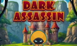 Dark Assassin