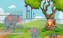 Rescue The Elephant Calf 2