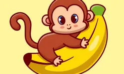 Cartoon Animal Puzzle