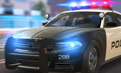 Police Car Simulator background