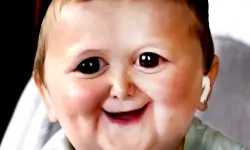 Funny Hasbulla Face background