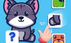 Find The Missing Part