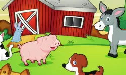 Happy Farm For Kids