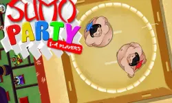 Sumo Fight