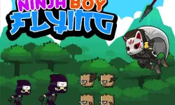 Ninja Boy Flying