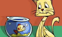 Funny Little Kittens