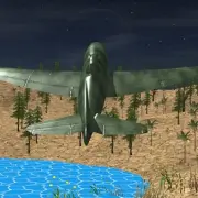 Shadow Combat