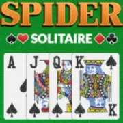 Spider Solitaire Two Suits